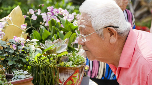 中國插花泰斗王蓮英獻藝河北省第二屆園博會
