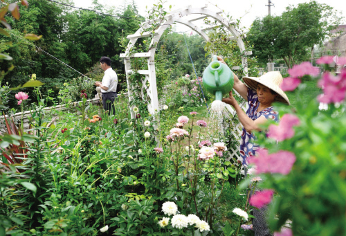 浙江嘉興：閑庭信步棲詩意