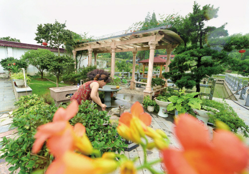 浙江嘉興：閑庭信步棲詩意