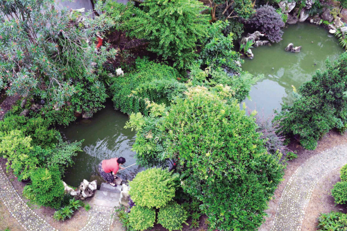 浙江嘉興：閑庭信步棲詩意