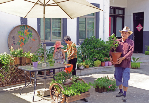 浙江嘉興：閑庭信步棲詩意