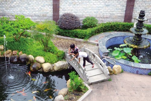 浙江嘉興：閑庭信步棲詩意