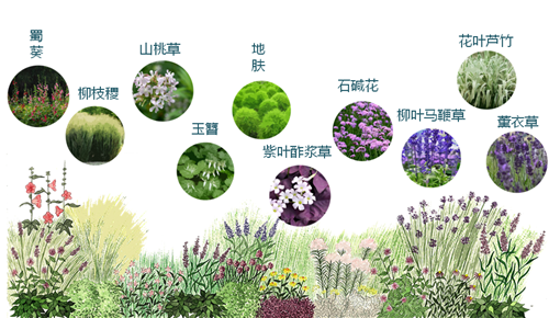 河北省第二屆園博會花境創意作品——尋光者