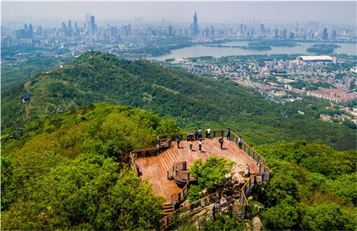 園冶杯專業(yè)獎(jiǎng):中山陵園風(fēng)景區(qū)頭陀嶺區(qū)域環(huán)境整治工程