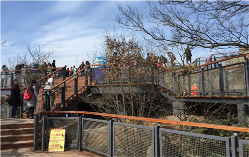 園冶杯專業(yè)獎(jiǎng):中山陵園風(fēng)景區(qū)頭陀嶺區(qū)域環(huán)境整治工程