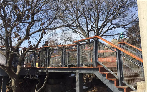 園冶杯專業(yè)獎(jiǎng):中山陵園風(fēng)景區(qū)頭陀嶺區(qū)域環(huán)境整治工程