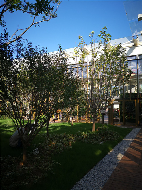 國(guó)內(nèi)外花藝大師同臺(tái)獻(xiàn)藝 秦皇島舉辦國(guó)際插花藝術(shù)展