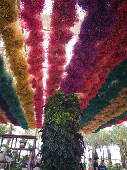 國(guó)內(nèi)外花藝大師同臺(tái)獻(xiàn)藝 秦皇島舉辦國(guó)際插花藝術(shù)展