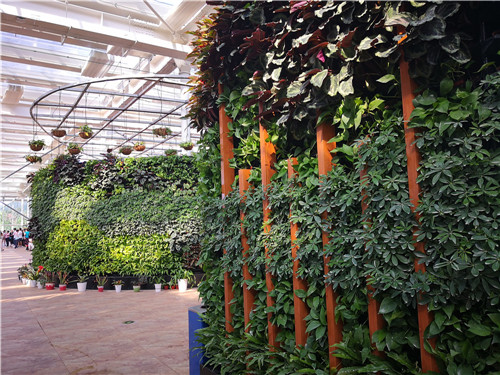 國(guó)內(nèi)外花藝大師同臺(tái)獻(xiàn)藝 秦皇島舉辦國(guó)際插花藝術(shù)展