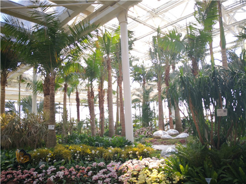 國(guó)內(nèi)外花藝大師同臺(tái)獻(xiàn)藝 秦皇島舉辦國(guó)際插花藝術(shù)展