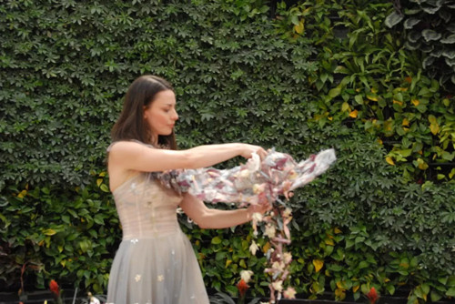 國(guó)內(nèi)外花藝大師同臺(tái)獻(xiàn)藝 秦皇島舉辦國(guó)際插花藝術(shù)展