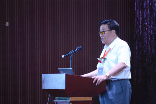 中外大師齊聚衡水 探討濱水城市發展之路