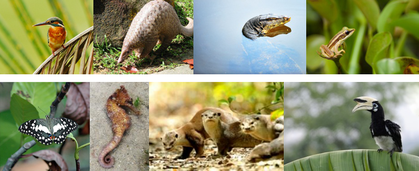 鄧國輝：分層思維——想象、關聯(lián)、整合