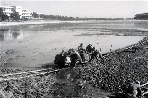 趙泰東：韓國江陵市鏡浦濕地修復計劃和現狀