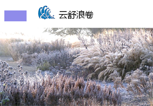 河北省第二屆園博會花境創(chuàng)意作品——花漫“水圖”卷