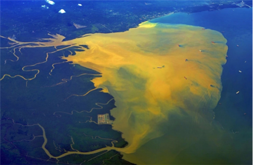 沈守云：濕地資源的自然稟賦