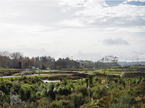 Brad Coombs：庫布帕卡保護區濕地公園