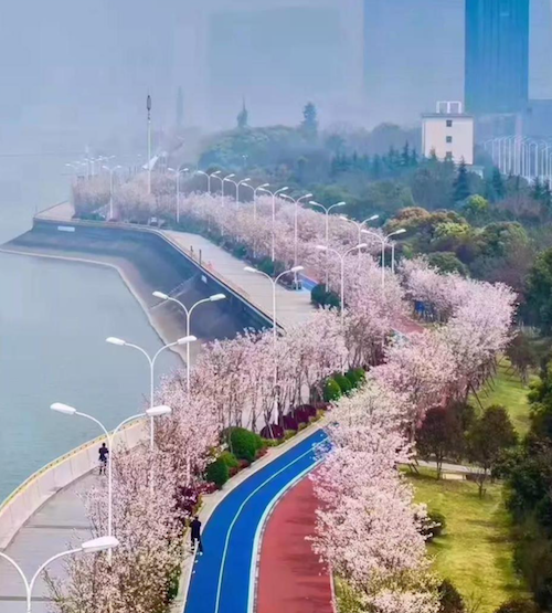 鄭占峰：營造城市山水風景