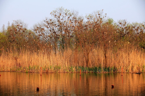 鄭占峰：營造城市山水風景