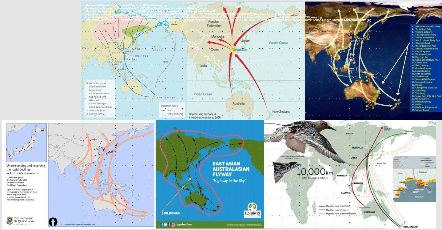 Jose ntonio P.Bimbao：走近日落——馬尼拉的動(dòng)態(tài)海濱區(qū)域