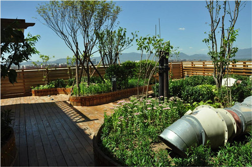 園冶杯專業獎:北大國際醫院屋頂花園設計