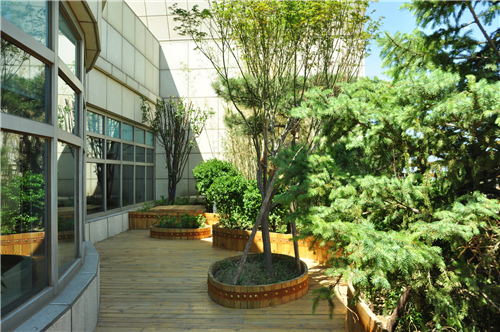 園冶杯專業獎:北大國際醫院屋頂花園設計