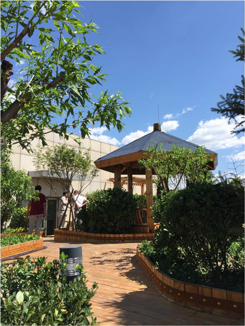 園冶杯專業獎:北大國際醫院屋頂花園設計