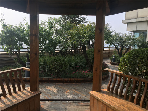 園冶杯專業獎:北大國際醫院屋頂花園設計