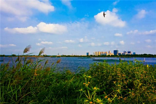 鄭文俊：桂林兩江四湖環城水系景觀建設思考