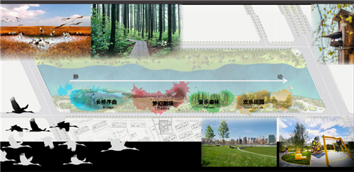 白祖華：東沙河上的《天鵝湖》
