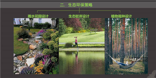 白祖華：東沙河上的《天鵝湖》