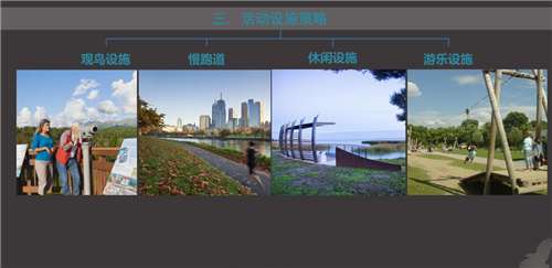 白祖華：東沙河上的《天鵝湖》