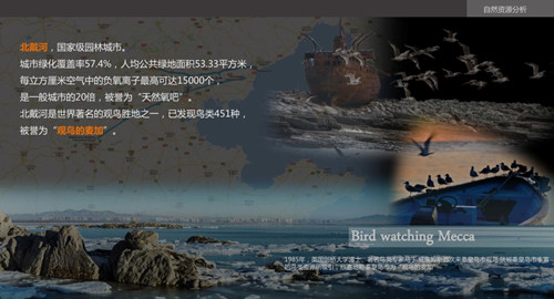 白祖華：東沙河上的《天鵝湖》