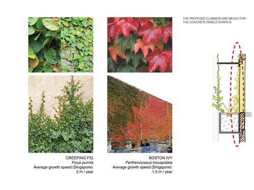 梁達民：紅黃藍綠-環境設計