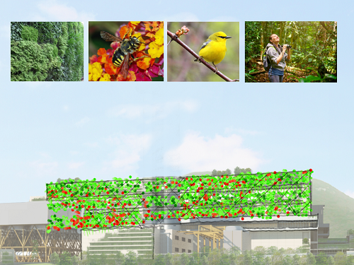 梁達民：紅黃藍綠-環境設計