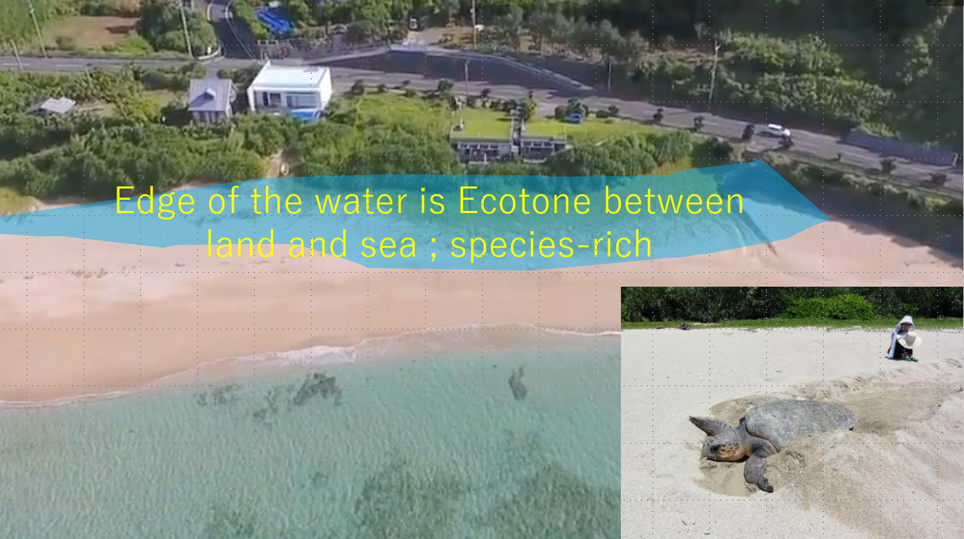 Kiyohito Tamotsu：水追隨邊界（Water leads itself to