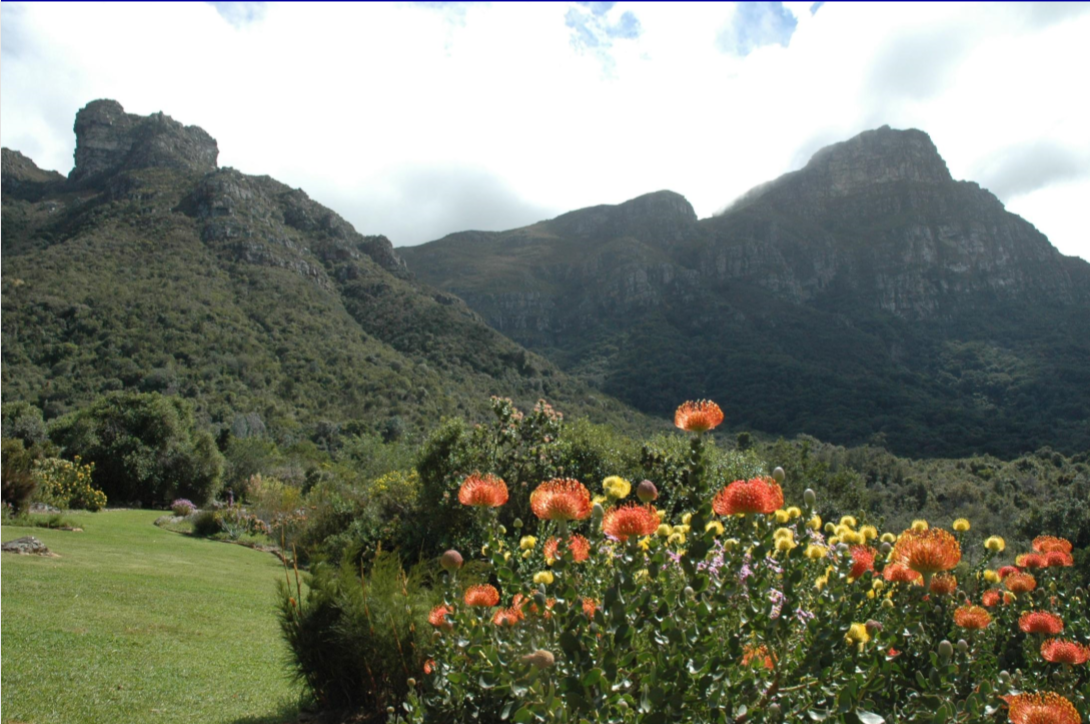 包滿珠：淺談城市建設(shè)與自然生態(tài)系統(tǒng)的關(guān)系