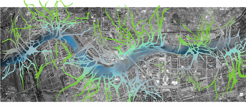 朱玲：城市大型公共綠地生態智慧迭代