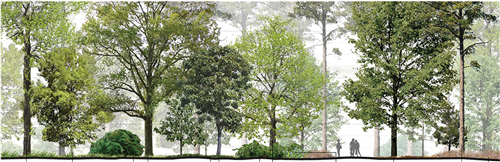 朱玲：城市大型公共綠地生態智慧迭代