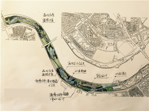 朱玲：城市大型公共綠地生態智慧迭代