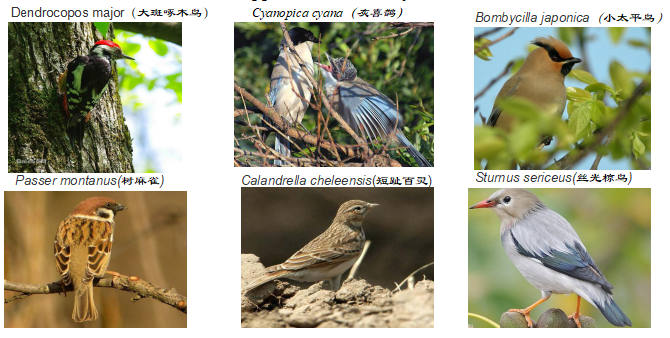 王文杰：哈爾濱城市森林研究看生態(tài)城市建設(shè)