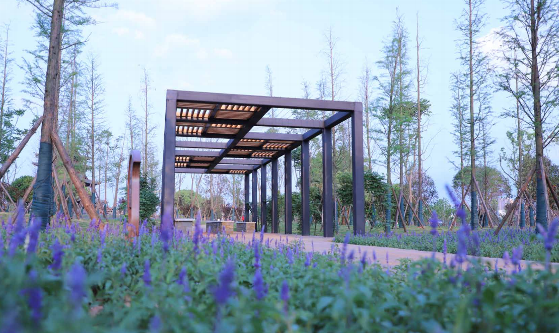 園冶杯專業獎:衡陽市東洲島綜合開發項目景觀設計