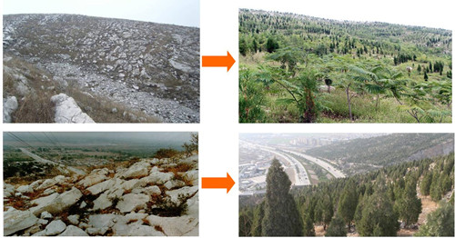 安徽淮北:城市雙修讓煤城變美城