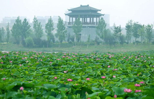 安徽淮北:城市雙修讓煤城變美城