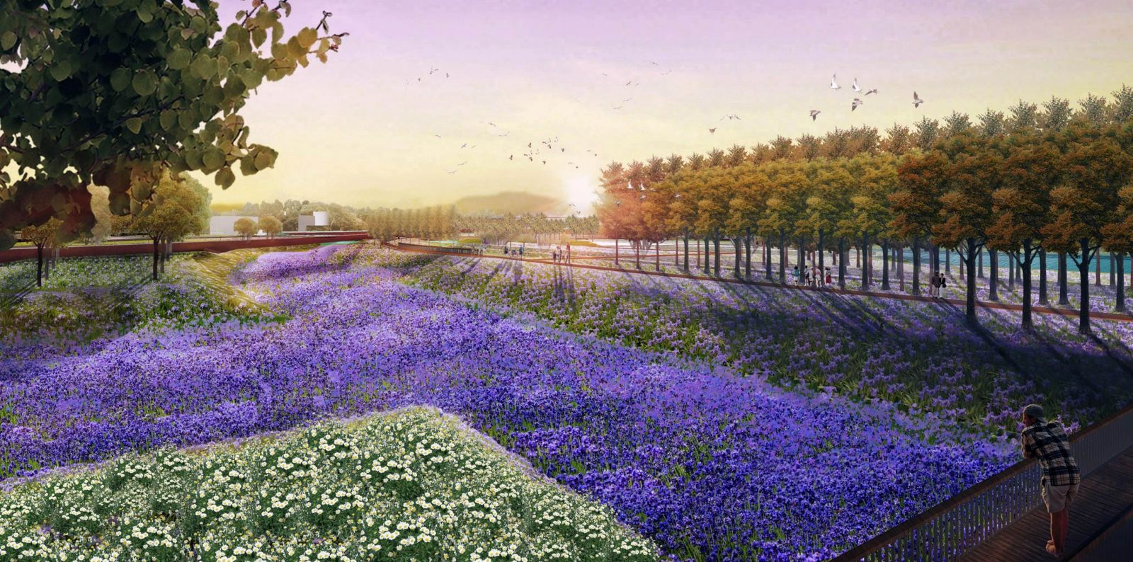 園冶杯專業獎:黃驊城西花卉園工程設計方案