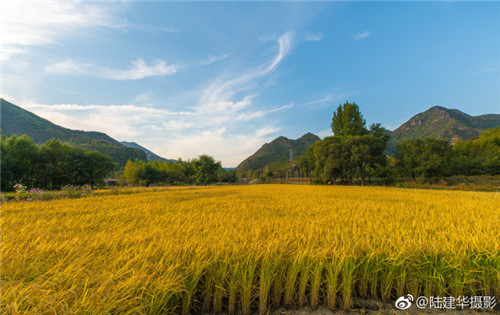 園冶杯專業獎:熱河飲馬川