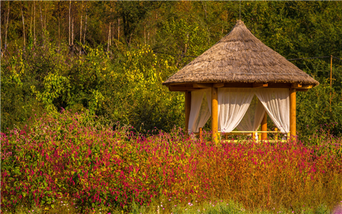 園冶杯專業獎:熱河飲馬川