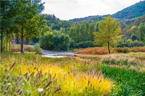 園冶杯專業獎:熱河飲馬川