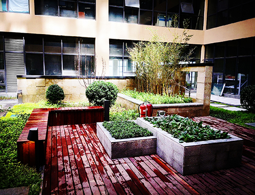 園冶杯專(zhuān)業(yè)獎(jiǎng):新華國(guó)際廣場(chǎng)天井園林景觀