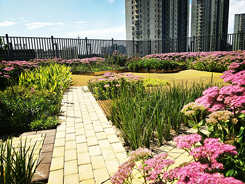 園冶杯專業(yè)獎(jiǎng)：工業(yè)大學(xué)附中低碳屋頂花園